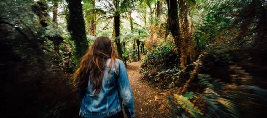 Conservation Efforts to Preserve the Great Ocean Road’s Natural Habitats