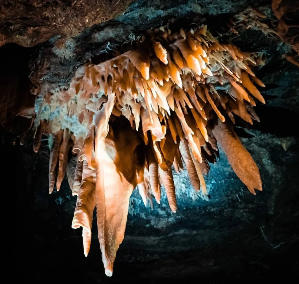 Buchan Stalactites and Formations