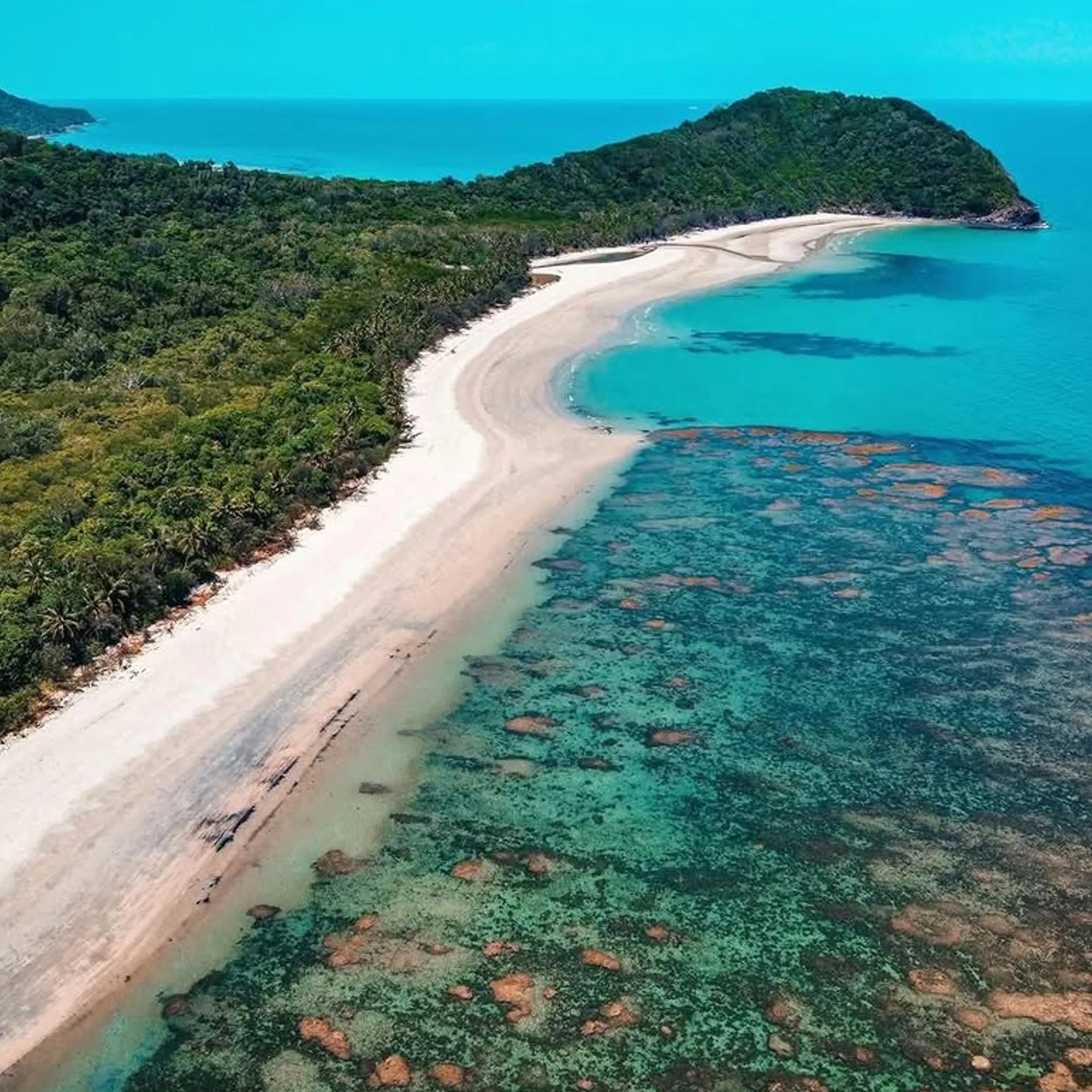 clear reef and sandy beach