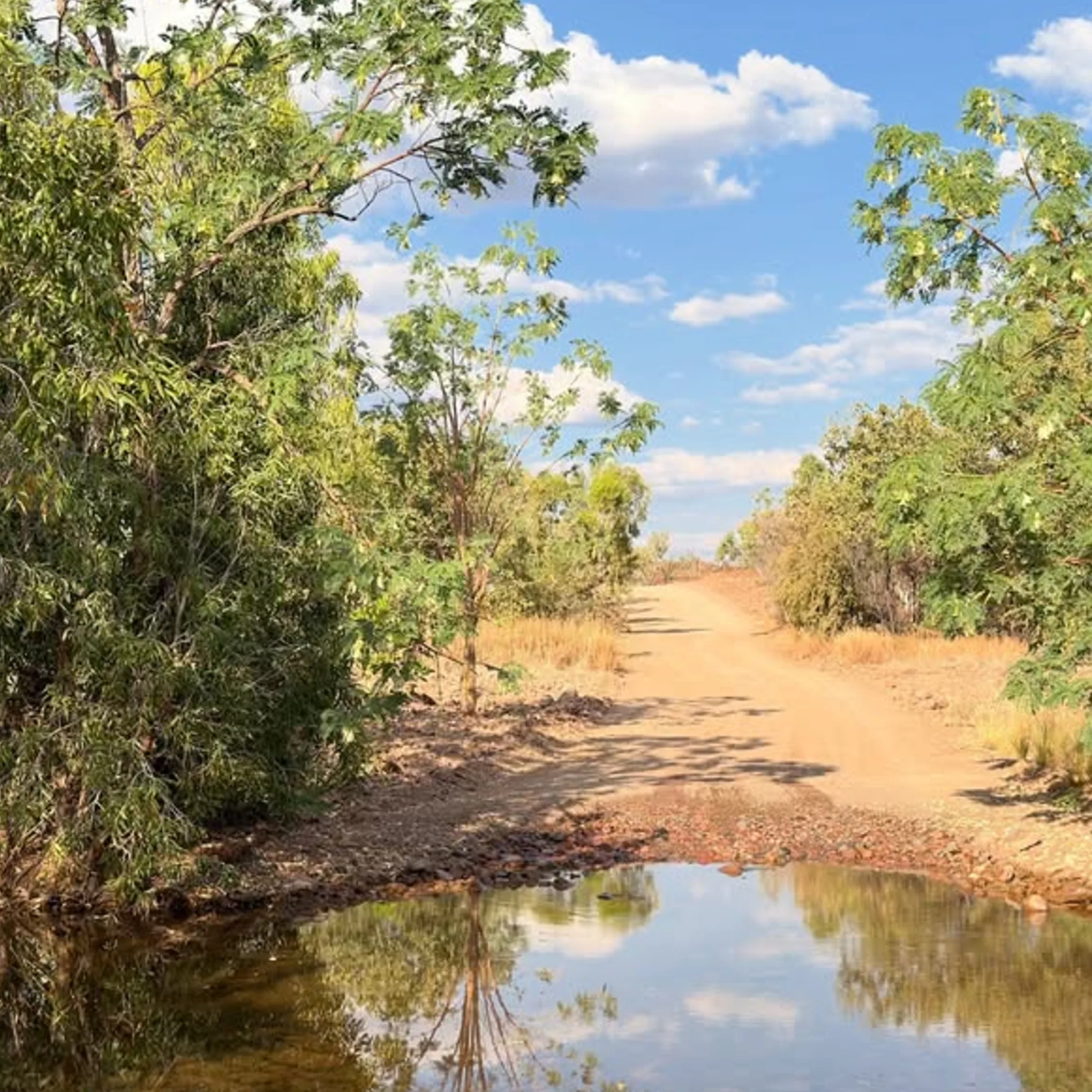 dry season landscape with water and vegetation