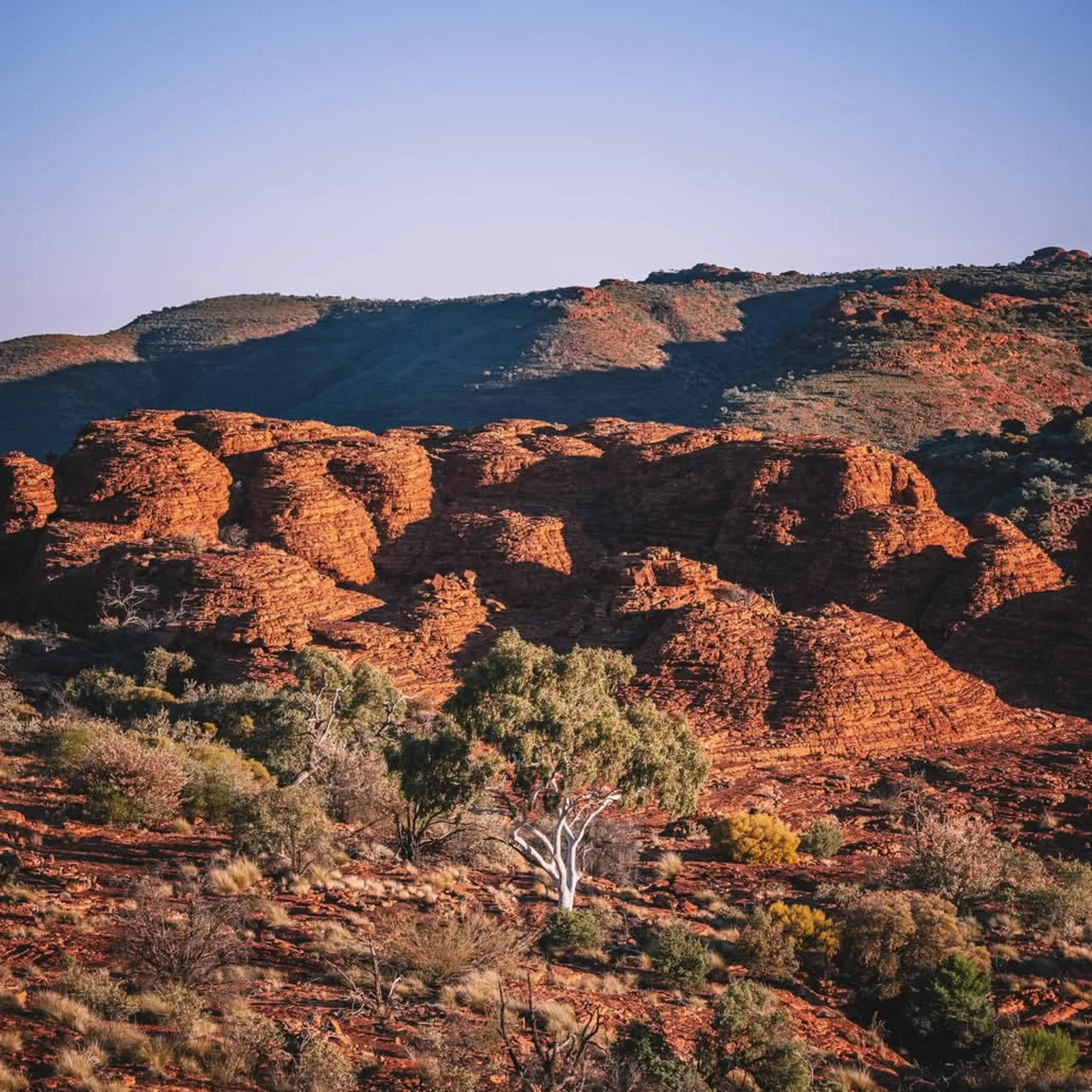 dry season landscape in northern australia