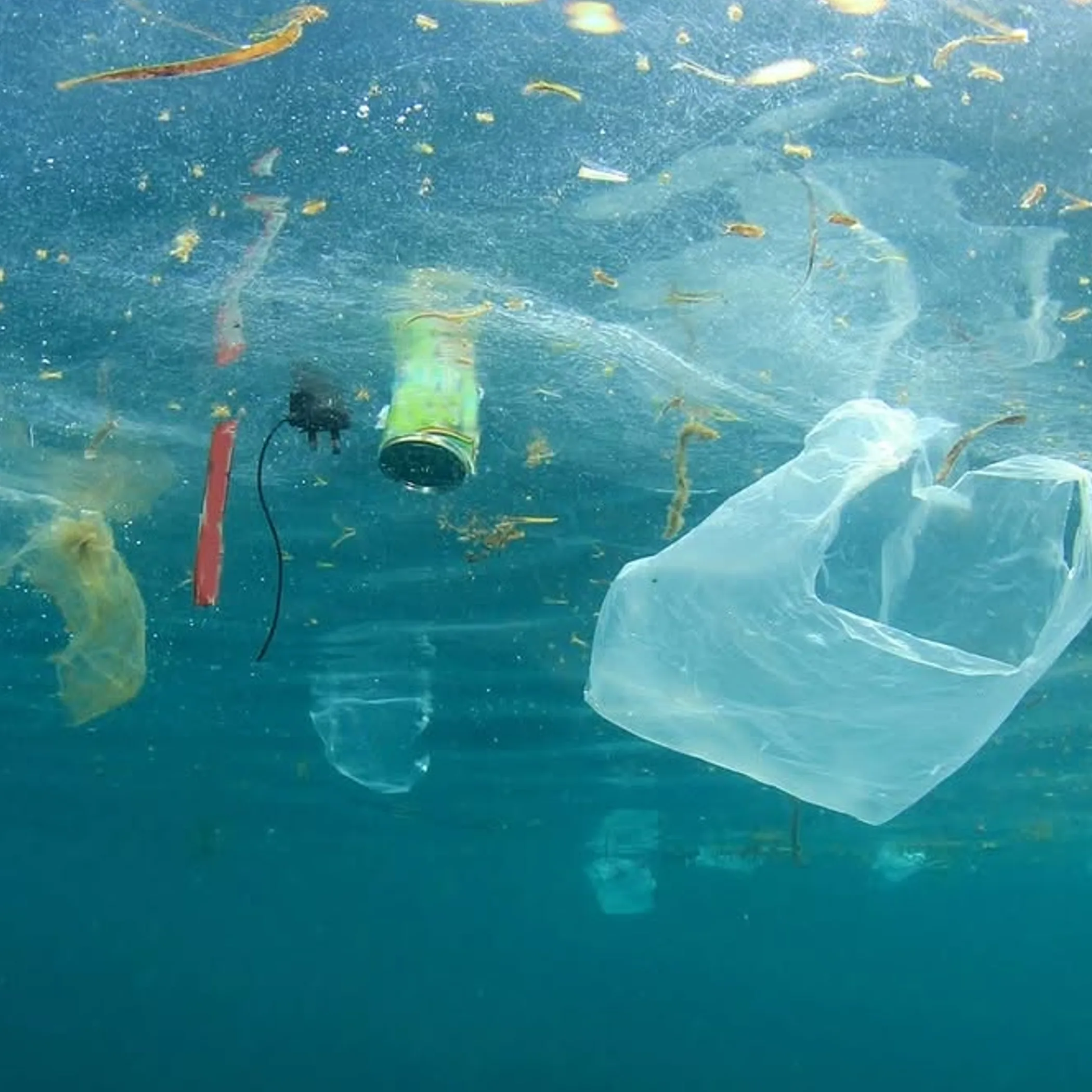 plastic waste floating in ocean
